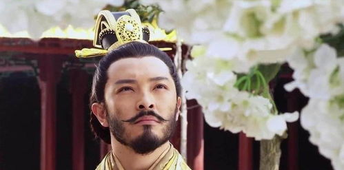 (大隋昏君杨广全文)大隋之最强昏君杨广：权谋与荣耀，帝国盛世的缔造者。
