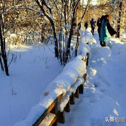 (逃离异域电影)逃离异域：在陌生土地上寻找自我与归属的心路历程
