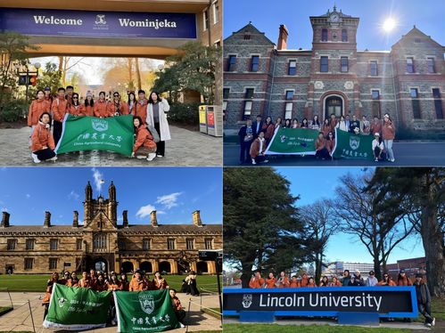 2024年新澳全年资料大全|探索城市中的隐藏美景_娱乐版ISHOP.8.602