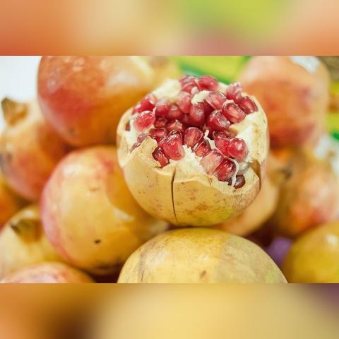 水果奶奶免费资料大全六|解析当前问题的最新解答_QHD版.8.334