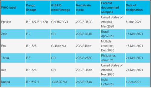 2024新澳门彩霸王|全面数据应用分析_小型版.3.728 2024新澳门彩霸王|全面数据应用分析_小型版.3.728