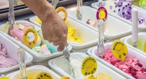 2024澳门宝典|探秘澳门美食文化之旅_精简版.9.954 2024澳门宝典|探秘澳门美食文化之旅_精简版.9.954