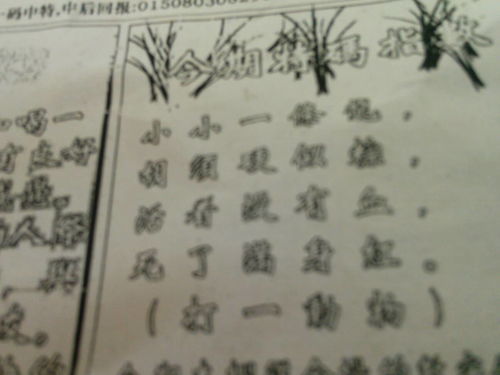 一码一肖100准刘伯温|专业解答解释落实_网页版3.266