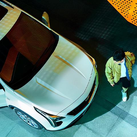 今晚四不像一肖期期准|统计解答解释落实_清晰版.8.241