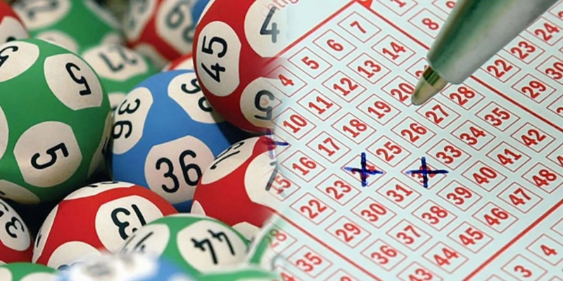 2024正版资料澳门跑狗图|现状分析解释落实_历史集.4.143