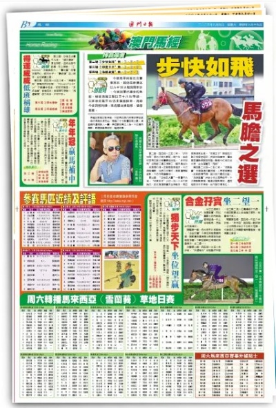 2024正版资料澳门跑狗图|现状分析解释落实_历史集.4.143